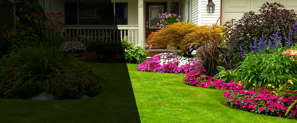 Mesquite Landscapers